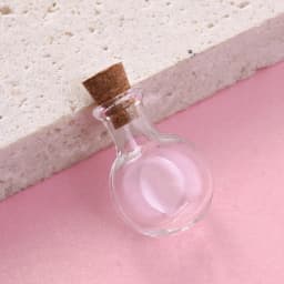 10pcs Small Clear Glass Wishing Bottles with Wood Stoppers Mixed Shape Micro Containers for Jewelry Decoration and Display