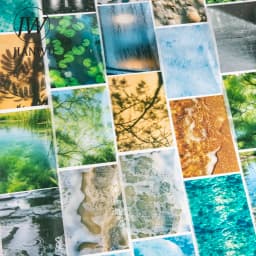 JIANWU Summer Vibe Series Vintage Rain Sea Flower Shadow Landscape Material Collage PET Sticker Creative DIY Journal Stationery