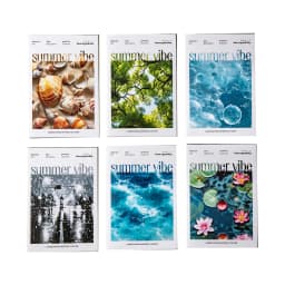 JIANWU Summer Vibe Series Vintage Rain Sea Flower Shadow Landscape Material Collage PET Sticker Creative DIY Journal Stationery