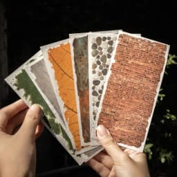2pcs/1lot Kawaii Scrapbook Stickers Natural traces Junk Journal Gold Planner Stationery Sticker Planner Decorative