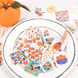 46Pcs Fresh Fruits Orange Stationery Stickers Set for Kids DIY Craft Journal Label Scrapbooking Boys Girls Craft Supplies