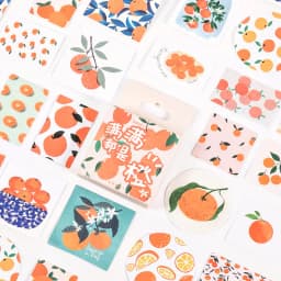 46Pcs Fresh Fruits Orange Stationery Stickers Set for Kids DIY Craft Journal Label Scrapbooking Boys Girls Craft Supplies