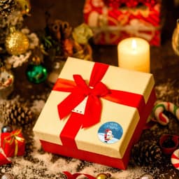 500pcs Merry Christmas Stickers 1 Inch Round Christmas Tags Stickers for Kids Gift Baking Package Envelope Stationery Decor