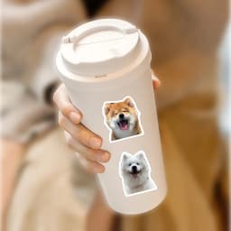 100Pcs Funny Fashion Dog Stickers Cartoon Cute Decals Toy Guitar Phone Bicycle Laptop Notebook Luggage Car Graffiti Kids Sticker