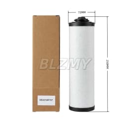 0532140156 V532140157 0532140155 Genuine Spare Parts Oil Exhaust Filter Liquid Ring Vacuum Pump Accessories