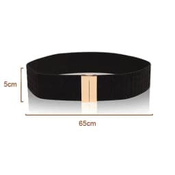 Wide Elastic Belt Dress Stretch Waist Belt Women Dress Accessories Waistband Corset Waist Metal Buckle