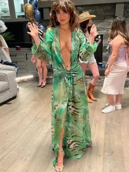Weird Puss Tiger Stripe Print Long Dress Woman Autumn Trend Deep V-Neck Backless Lantern Sleeve Beach Party Elegant Vestidos