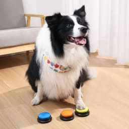 Dog Communication Buttons Voice Recording Button for Pet Training Buzzer 30 Second Record Playback Funny Gift for Talking