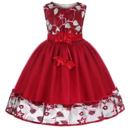 European and American Embroidery Dress Girl's Party Lace Princess Flower Child Net Gauze Pengpeng Dress