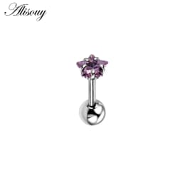 Alisouy 2pcs Star Prong Set Zircon Ear Cartilage Piercing Tragus Helix Studs Piercing Body Jewelry 16g Stianless Steel Earrings