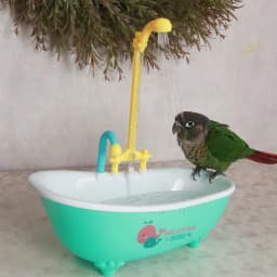 1PC Parrot Automatic IntelligentBath Bird Shower Bathtub Blue AccessoriesHousehold Plastic Parakeet Supplies AccessoryBird Cage
