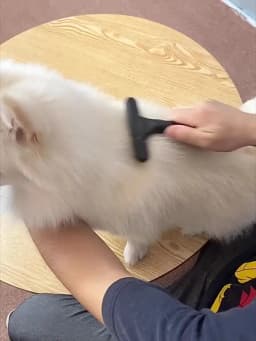 Dog Rake Deshedding Dematting Brush Comb Undercoat Rake for Dogs Cats Short Long Hair Pet Brushes Shedding with Double Row Pins
