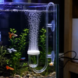 CO2 Diffuser for Aquarium Bubble Reactor CO2 System Atomizer for Fish Tank Live Plants Water Grass Grow Refiner with Suction Cup