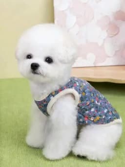 Winter Dog Jacket Floral Print Vest Coat Chihuahua Bichon Warm Clothing Puppy Outdoor Jacket With D-ring Winter Pet Costume