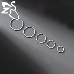 ZS 1 PC 20G Stainless Steel Hoop Earring 6/8/10/12MM Round Stud Earrings CZ Crystal Nose Ring Helix Cartilage Piercings Jewelry