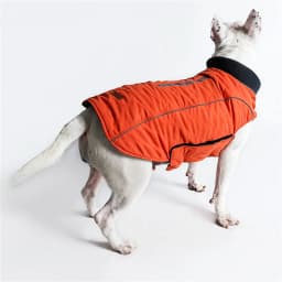 Winter Big Dog Coat Clothes Warm Reflective Pet Vest Jacket for Small Medium Large Dogs Bull Terrier Weimaraner Disfraz Perro