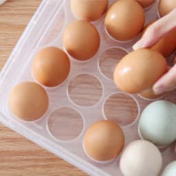 10/18/34 Grid Kitchen Handheld Egg Storage Box for Refrigerator Egg Sorting Rack Home Egg Storage Tray Freshness Box