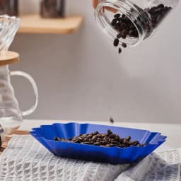 Plastic Coffee Bean Tray Oval Reusable Sample Display Tray Practical Snack Serving Tray Coffee Beans Display