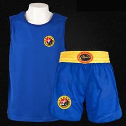 Muay Thai Pants Dragon Embroidery Boxing Shorts and Vest Crossfit Sanda Wushu Uniform Martial Arts Kickboxing MMA Fight Clothing