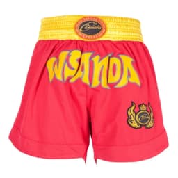 Muay Thai Pants Dragon Embroidery Boxing Shorts and Vest Crossfit Sanda Wushu Uniform Martial Arts Kickboxing MMA Fight Clothing
