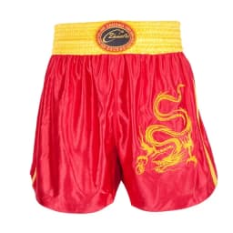 Muay Thai Pants Dragon Embroidery Boxing Shorts and Vest Crossfit Sanda Wushu Uniform Martial Arts Kickboxing MMA Fight Clothing