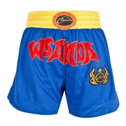 Muay Thai Pants Dragon Embroidery Boxing Shorts and Vest Crossfit Sanda Wushu Uniform Martial Arts Kickboxing MMA Fight Clothing