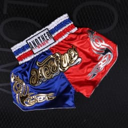 Muay Thai Pants Embroidery Boxing Shorts Women Men Satin Fight Kickboxing Training Trunks Kids Boy Girl Martial Arts MMA Clothes