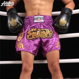 Premium Muay Thai Shorts, Boxing Fight Shorts Embroidery Elastic Waist Breathable for Kickboxing BJJ Martial Arts MMA Training