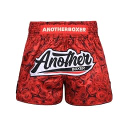 Lightweight Muay Thai Shorts Elastic Waist Side Split Graphic Fight Trunks Unisex Men Women White Satin Boxing Kickboxing Pants
