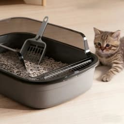 Kitty Sandbox Cat Litter Box Semi-enclosed Splashproof Cat Tray Cat Toilet Cleaning Basin Supplies Pet Toilet Kitten Tray Bedpan