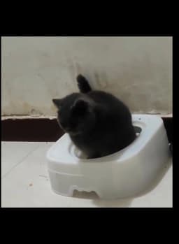 New Open Self Service Cat Toilet Large Capacity Recycling Convenient Trainer Set Safe Protection Cat Toilet