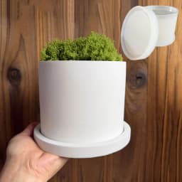 Cylinder Cement Flower Pot Silicone Mold Epoxy Resin Storage Tray Concrete Succulent Planter Mould Home Decor Indoor Plant Pot