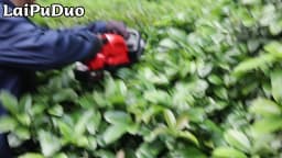 Brushless Electric Hedge Trimmer 3000RPM Cordless Portable Bush Trimmer Lawn Mower Garden Yard Tools For Dewalt 20V Battery Pin