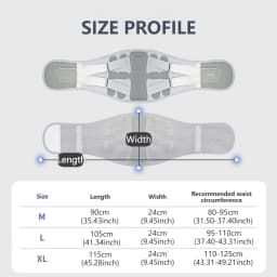 AOLIKES Back Brace for Lower Back Pain, Ergonomic Bionic Support , Adjustable Lumbar Support Belt for Men & Women