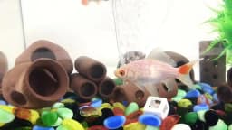 Ceramic Aquarium Decoration Fish Shrimps Shelter House Pottery Scorpion House Canister Simulation Stone Fish Tank Decor Great