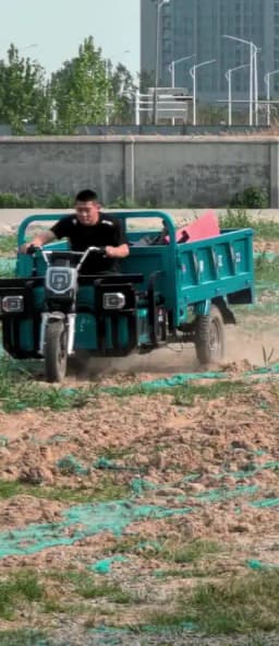 Electric Agricultural Tricycle Heavy Duty Cargo 3 Wheel Farm Transport Vehicle High Power 60V 1000W for Farming Garden Loading