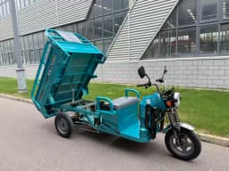 Electric Agricultural Tricycle Heavy Duty Cargo 3 Wheel Farm Transport Vehicle High Power 60V 1000W for Farming Garden Loading