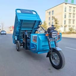 Electric Agricultural Tricycle Heavy Duty Cargo 3 Wheel Farm Transport Vehicle High Power 60V 1000W for Farming Garden Loading
