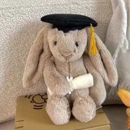 2026 New Collection of New Roses Bonnie Rabbit Bartholomew Bear Cute Doll Plush Toys