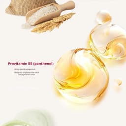 Korean Rice Extract Sunscreen Cream SPF50+ – Hydrating Moisturizing Tone-Up Primer, Lightweight Concealer, Even Skin Tone