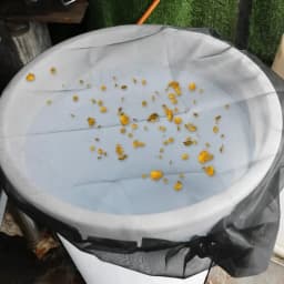 Rain Barrel Netting Screen Rainwater Tank Lid Net Water Collector Mesh Cover Garden Water Bucket Covers Insect Filter Protector
