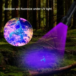 1-8PCS 395nm UV Flashlight 9/12LED Curing Light Ultraviolet Light Blacklight Detector for Pet Urine Scorpion Jewellry Inspection