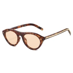 Fashion Triangle Cat Eye Sunglasses for Women Vintage Small Frame Gradient UV400 Sun Glasses Men Retro Hip Hop Driving Shades