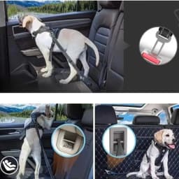 4PCS Seat Belt Adapters Car Metal Clips for Pet Leashes, Compatible with Truck & Car Seats Metal Seat Belt Clip and Buckle Lock