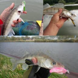10Pcs/lot 75mm 2.1g  Wobbler Fishing Lure Easy Shiner Jig Swimbait Artificial Double Color Silicone Soft Bait Carp Bass Lures