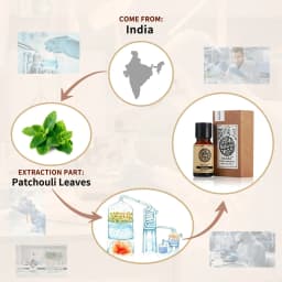 AKARZ Patchouli Essential Oil Natural for Skin Body Care Diffuser  Candle Soap Making  DIY Massage  Aroma aceites esenciales