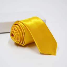 HUISHI Slim Party Necktie For Men Solid Color Neckties Mens Narrow Cravat 5cm Width 38 Colors Royal Blue Yellow Gold For Party