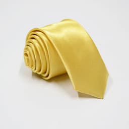 HUISHI Slim Party Necktie For Men Solid Color Neckties Mens Narrow Cravat 5cm Width 38 Colors Royal Blue Yellow Gold For Party