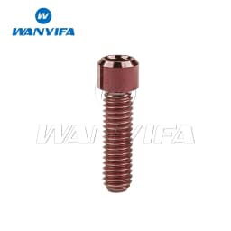 Wanyifa Titanium M4 x 10 13.5 15 20 25mm Allen Key Small Head Bolt Screw for Bicycle Thumb Shifter