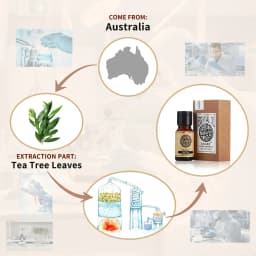 AKARZ Rosemary Essential Oil Natural for Body Hair Care Diffuser Candle Soap Making DIY Massage Aroma huiles essentielles